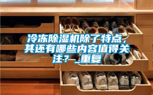 冷凍除濕機除了特點，其還有哪些內(nèi)容值得關注？_重復