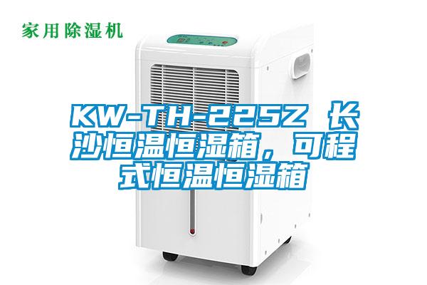KW-TH-225Z 長(zhǎng)沙恒溫恒濕箱，可程式恒溫恒濕箱