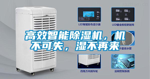 高效智能除濕機(jī)，機(jī)不可失，濕不再來(lái)