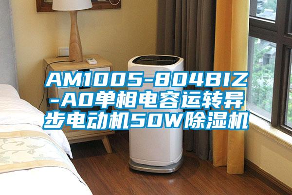 AM1005-804BIZ-A0單相電容運(yùn)轉(zhuǎn)異步電動機(jī)50W除濕機(jī)