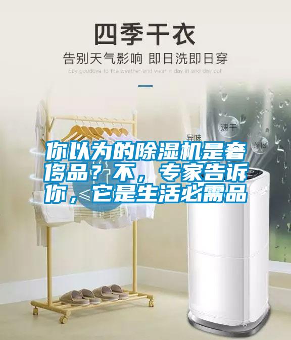 你以為的除濕機(jī)是奢侈品？不，專家告訴你，它是生活必需品