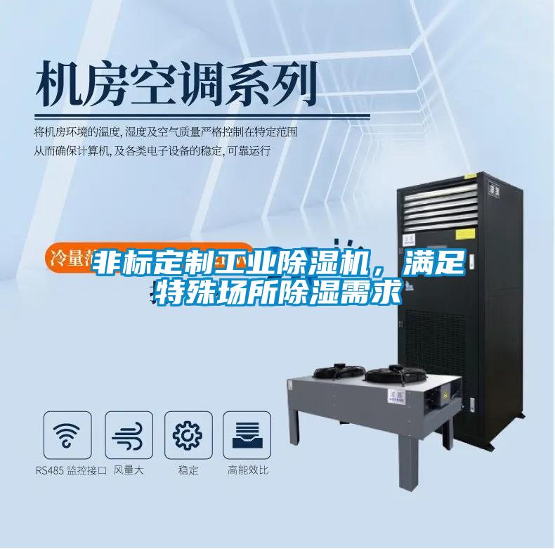 非標(biāo)定制工業(yè)除濕機(jī)，滿足特殊場(chǎng)所除濕需求