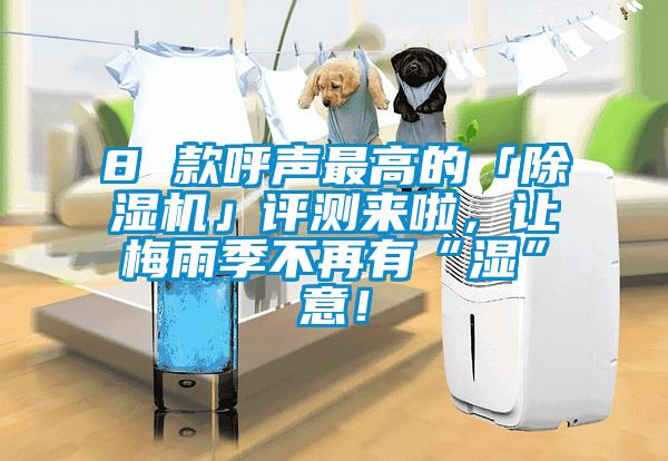 8 款呼聲最高的「除濕機」評測來啦，讓梅雨季不再有“濕”意！