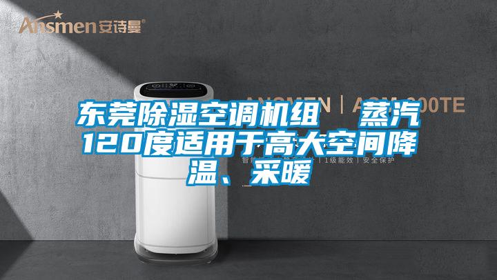 東莞除濕空調(diào)機(jī)組  蒸汽120度適用于高大空間降溫、采暖