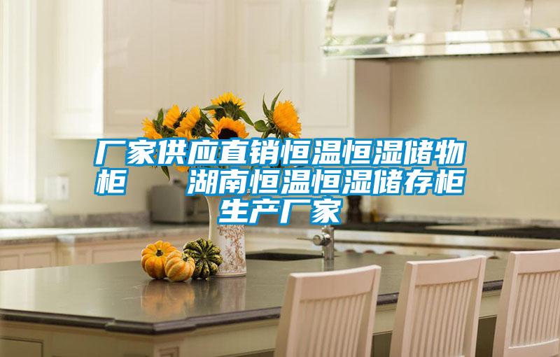 廠家供應(yīng)直銷(xiāo)恒溫恒濕儲(chǔ)物柜   湖南恒溫恒濕儲(chǔ)存柜生產(chǎn)廠家