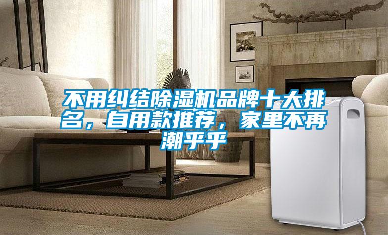 不用糾結除濕機品牌十大排名，自用款推薦，家里不再潮乎乎