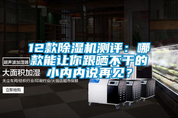 12款除濕機(jī)測(cè)評(píng)：哪款能讓你跟曬不干的小內(nèi)內(nèi)說(shuō)再見(jiàn)？