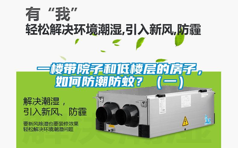 一樓帶院子和低樓層的房子，如何防潮防蚊？（一）