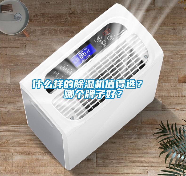 什么樣的除濕機(jī)值得選？ 哪個(gè)牌子好？