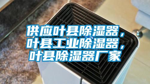 供應(yīng)葉縣除濕器，葉縣工業(yè)除濕器，葉縣除濕器廠家