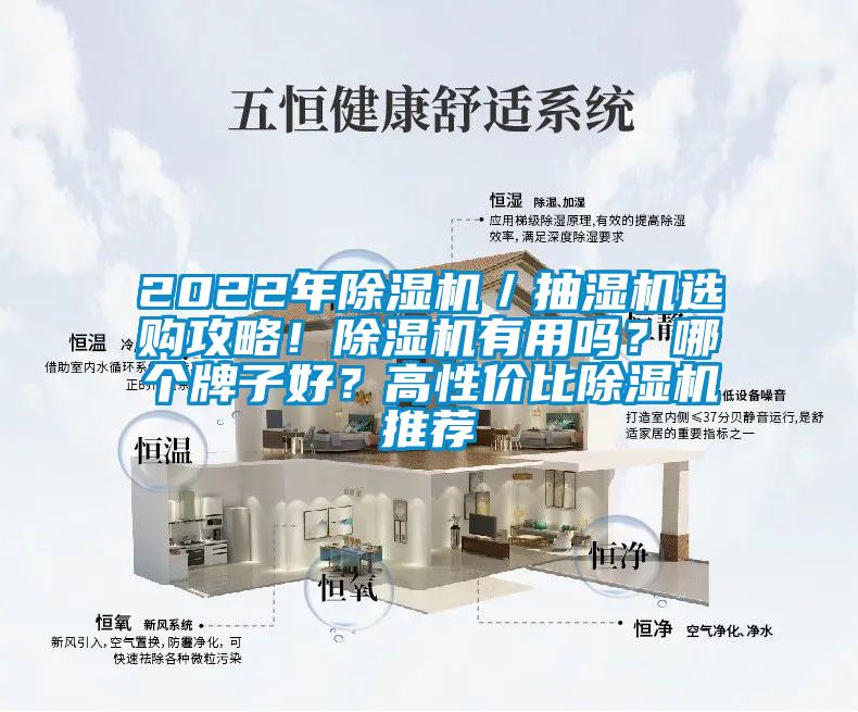 2022年除濕機(jī)／抽濕機(jī)選購攻略！除濕機(jī)有用嗎？哪個牌子好？高性價比除濕機(jī)推薦