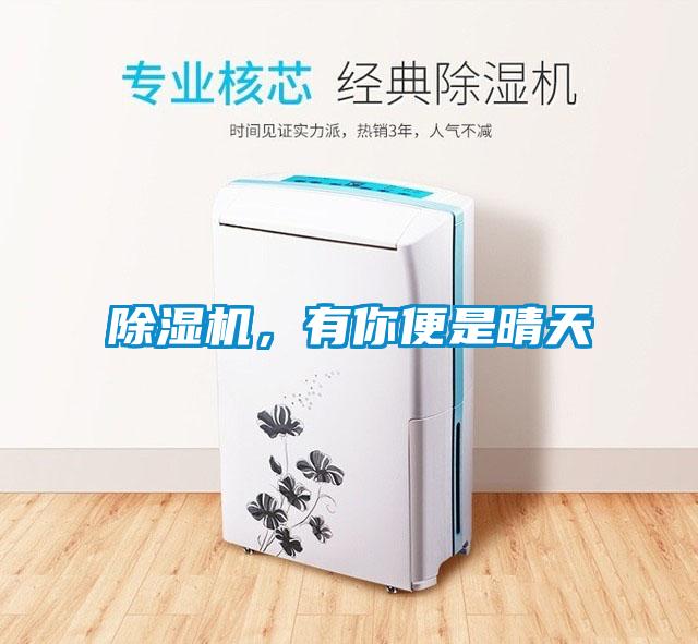 除濕機(jī)，有你便是晴天