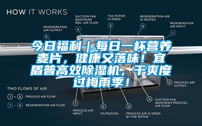 今日福利｜每日一杯營(yíng)養(yǎng)麥片，健康又落味！宜盾普高效除濕機(jī)，干爽度過(guò)梅雨季！
