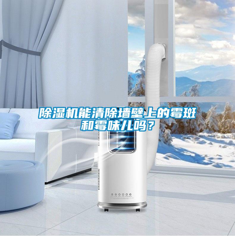 除濕機(jī)能清除墻壁上的霉斑和霉味兒嗎？