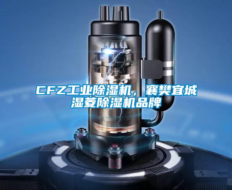 CFZ工業(yè)除濕機，襄樊宜城濕菱除濕機品牌