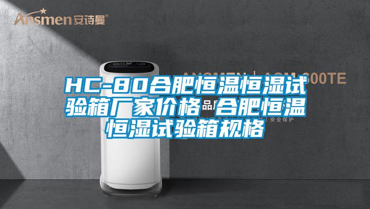 HC-80合肥恒溫恒濕試驗(yàn)箱廠家價格 合肥恒溫恒濕試驗(yàn)箱規(guī)格