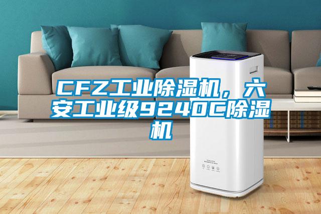 CFZ工業(yè)除濕機，六安工業(yè)級9240C除濕機