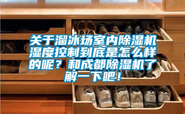 關(guān)于溜冰場(chǎng)室內(nèi)除濕機(jī)濕度控制到底是怎么樣的呢？和成都除濕機(jī)了解一下吧！