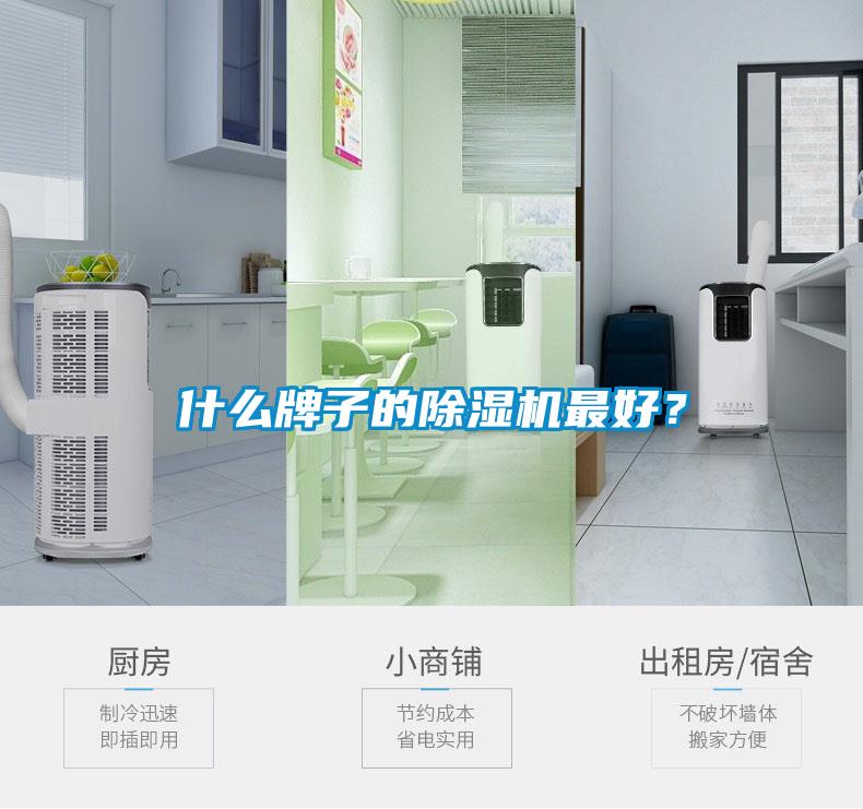 什么牌子的除濕機(jī)最好？
