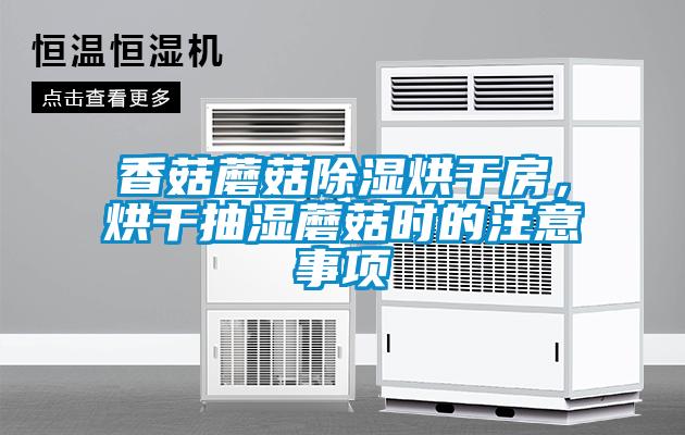 香菇蘑菇除濕烘干房，烘干抽濕蘑菇時(shí)的注意事項(xiàng)
