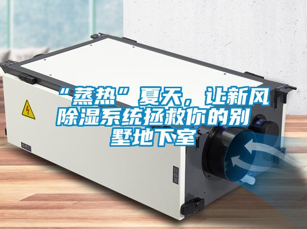“蒸熱”夏天，讓新風除濕系統(tǒng)拯救你的別墅地下室