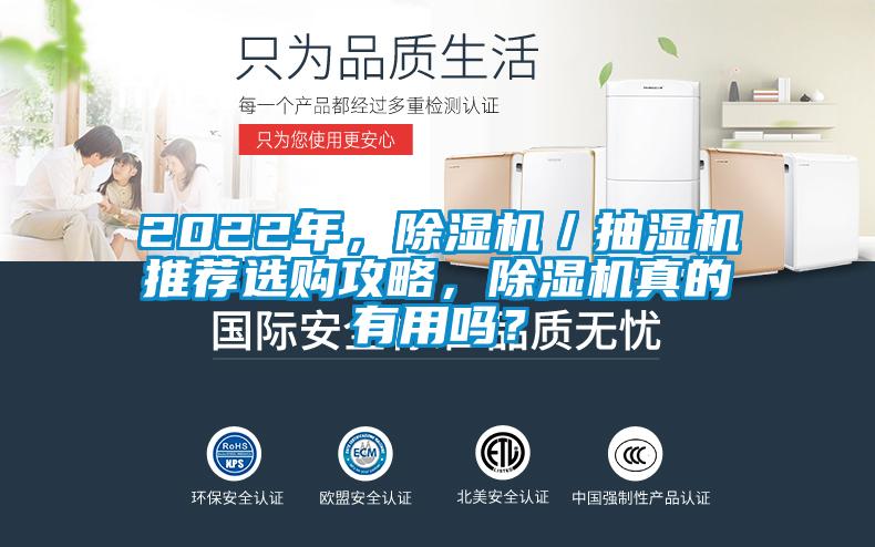 2022年，除濕機／抽濕機推薦選購攻略，除濕機真的有用嗎？