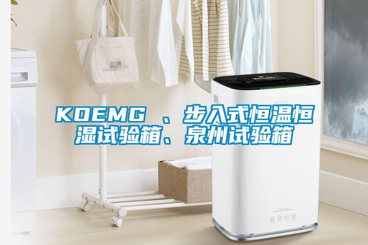 KOEMG 、步入式恒溫恒濕試驗(yàn)箱、泉州試驗(yàn)箱
