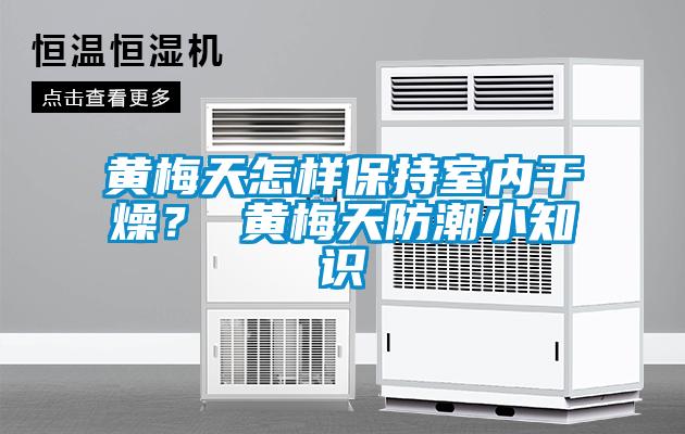 黃梅天怎樣保持室內(nèi)干燥？ 黃梅天防潮小知識