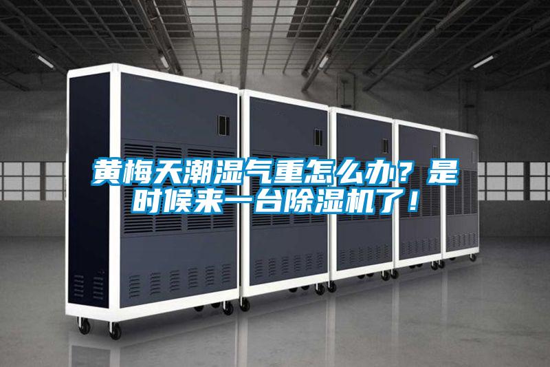 黃梅天潮濕氣重怎么辦？是時(shí)候來一臺除濕機(jī)了！
