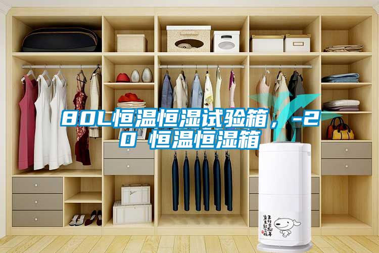 80L恒溫恒濕試驗箱，-20℃恒溫恒濕箱