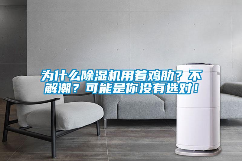 為什么除濕機(jī)用著雞肋？不解潮？可能是你沒(méi)有選對(duì)！