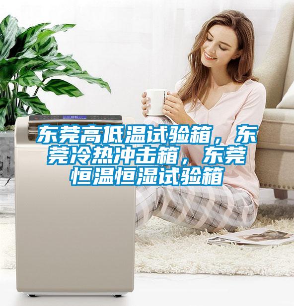 東莞高低溫試驗(yàn)箱，東莞冷熱沖擊箱，東莞恒溫恒濕試驗(yàn)箱