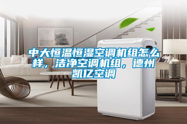 中大恒溫恒濕空調(diào)機(jī)組怎么樣，潔凈空調(diào)機(jī)組，德州凱億空調(diào)
