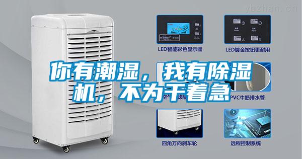 你有潮濕，我有除濕機，不為干著急