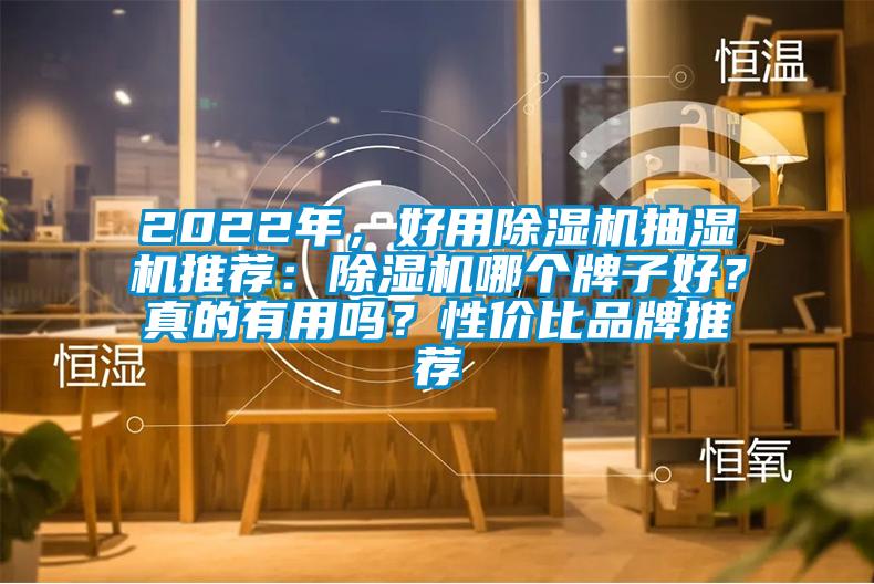 2022年，好用除濕機抽濕機推薦：除濕機哪個牌子好？真的有用嗎？性價比品牌推薦