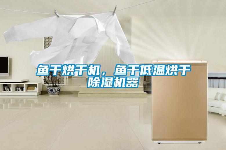 魚干烘干機(jī)，魚干低溫烘干除濕機(jī)器