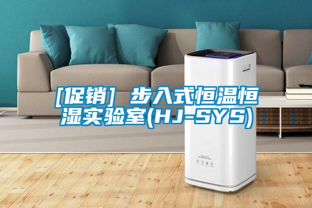 [促銷] 步入式恒溫恒濕實(shí)驗室(HJ-SYS)