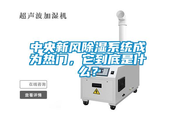 中央新風(fēng)除濕系統(tǒng)成為熱門，它到底是什么？