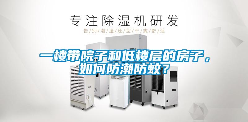 一樓帶院子和低樓層的房子，如何防潮防蚊？