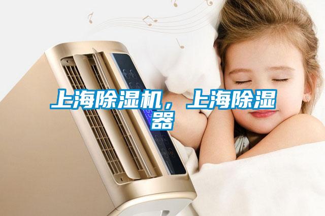 上海除濕機，上海除濕器