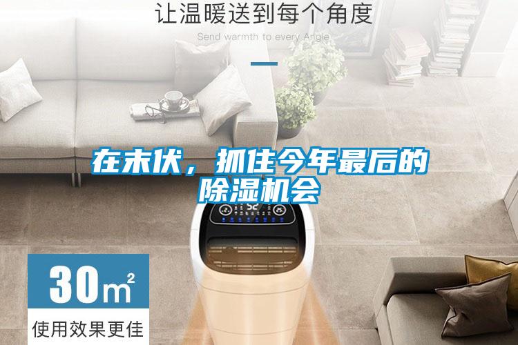 在末伏，抓住今年最后的除濕機會
