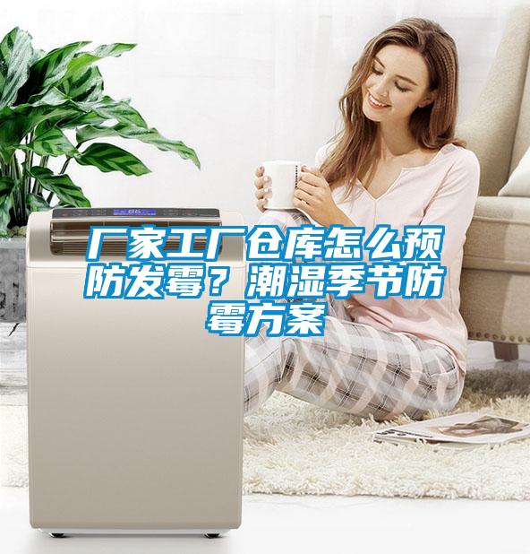廠家工廠倉庫怎么預(yù)防發(fā)霉？潮濕季節(jié)防霉方案