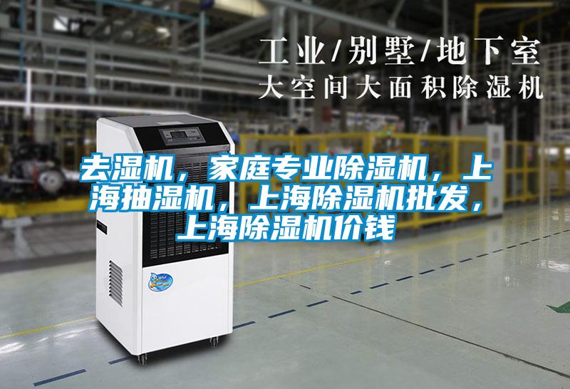 去濕機(jī)，家庭專業(yè)除濕機(jī)，上海抽濕機(jī)，上海除濕機(jī)批發(fā)，上海除濕機(jī)價(jià)錢