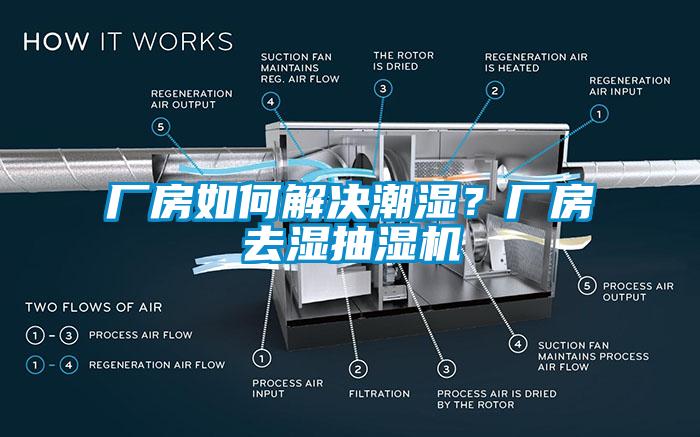 廠房如何解決潮濕？廠房去濕抽濕機(jī)