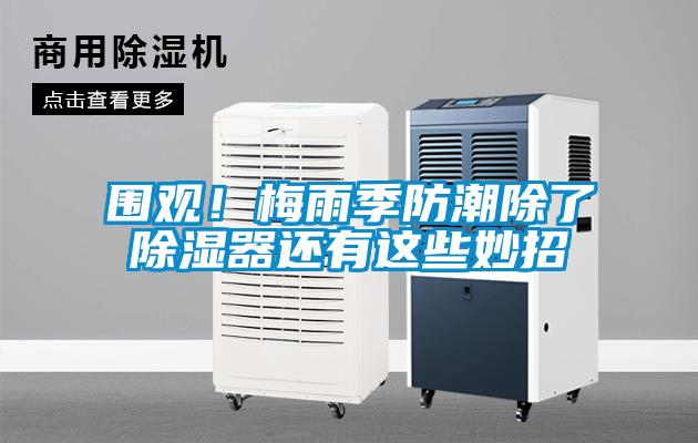 圍觀！梅雨季防潮除了除濕器還有這些妙招
