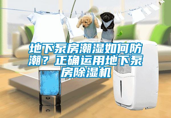 地下泵房潮濕如何防潮？正確運(yùn)用地下泵房除濕機(jī)