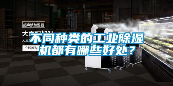 不同種類的工業(yè)除濕機都有哪些好處？