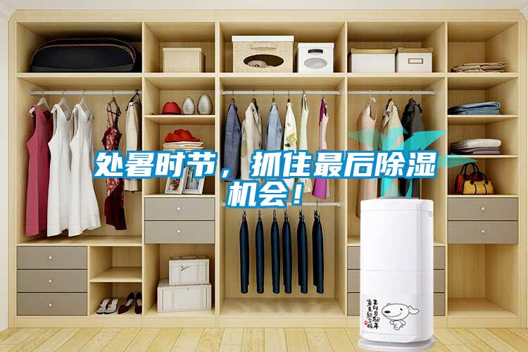 處暑時節(jié)，抓住最后除濕機(jī)會！