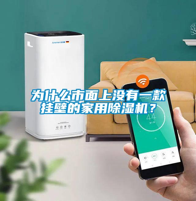 為什么市面上沒有一款掛壁的家用除濕機(jī)？