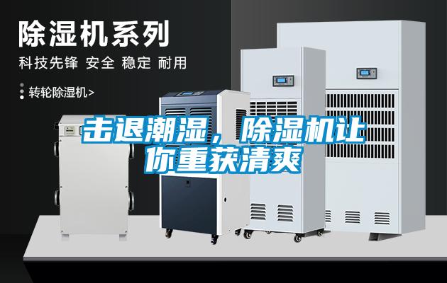 擊退潮濕，除濕機(jī)讓你重獲清爽